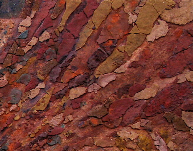 Tierra Mora - Image 2