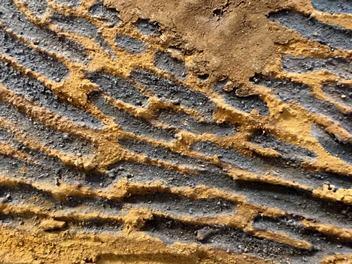 The Earth Drinks - Image 3