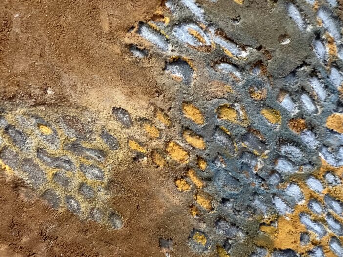The Earth Drinks - Image 2